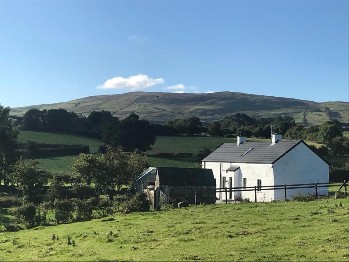Mournes Family Cottage With Hot Tub Hilltown المظهر الخارجي الصورة