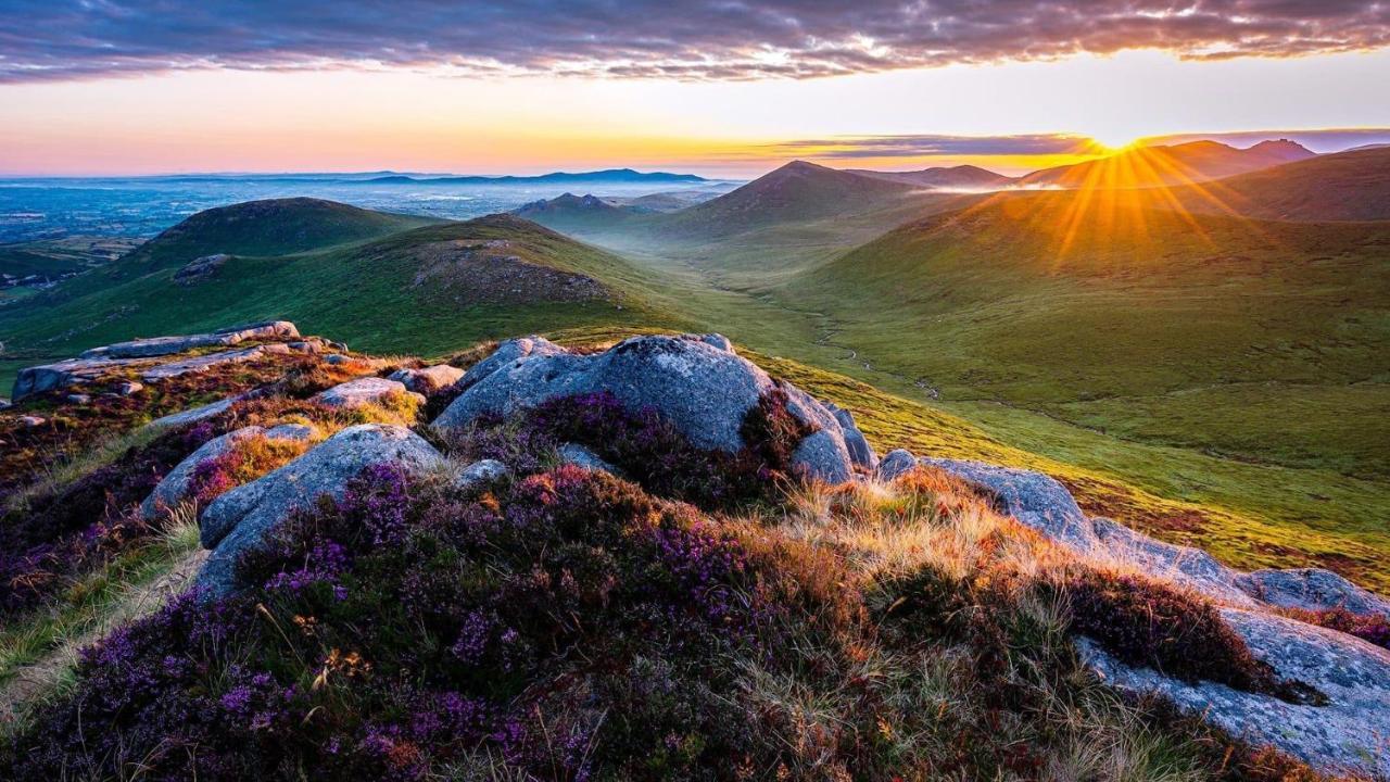 Mournes Family Cottage With Hot Tub Hilltown المظهر الخارجي الصورة